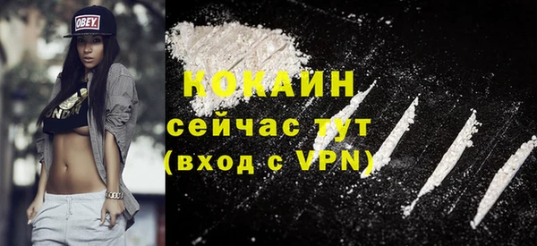 гашик Богданович