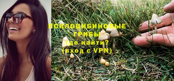 спиды Беломорск