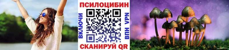 Купить закладки  Кувшиново  Галлюциногенные грибы мицелий 